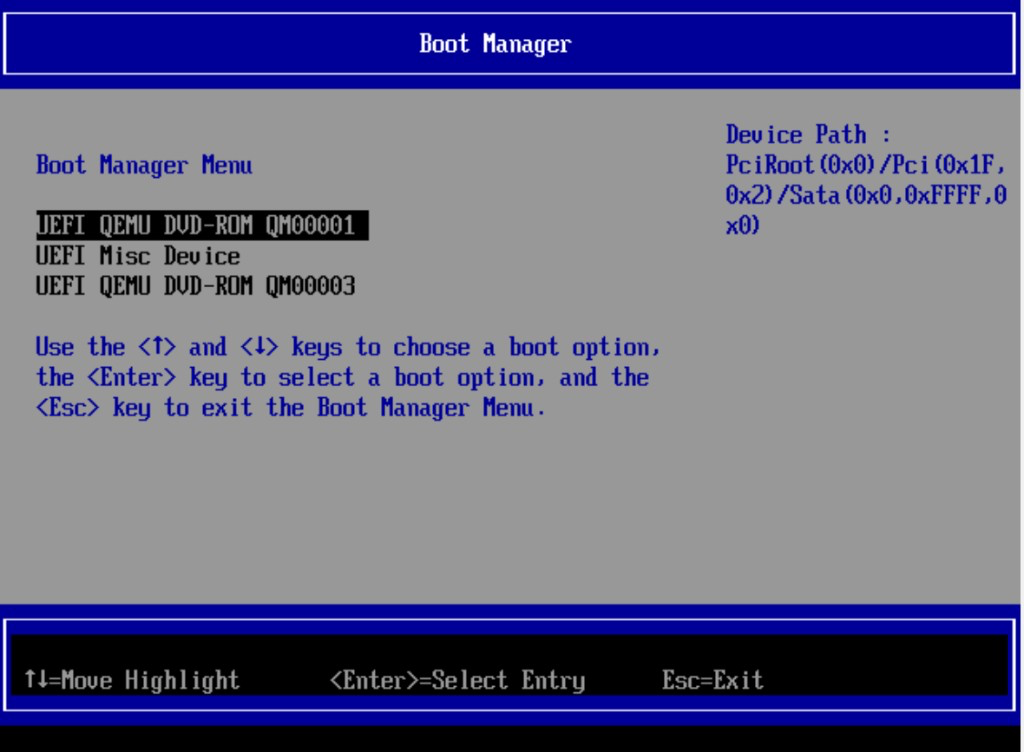 Boot Manager with two DVD-ROM entries