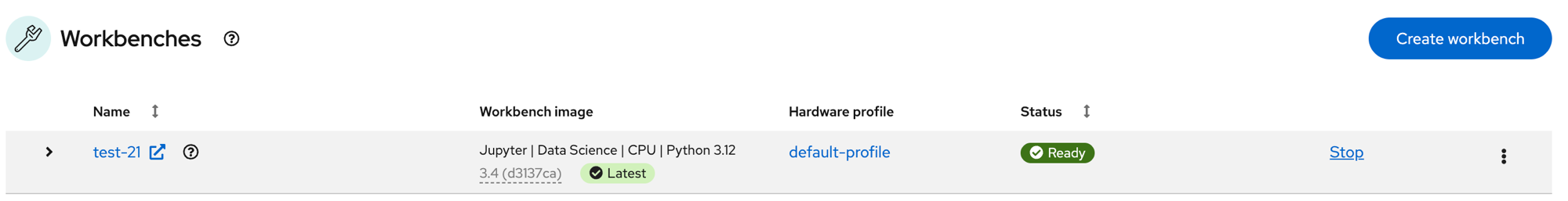 Workbench running successfully after fix