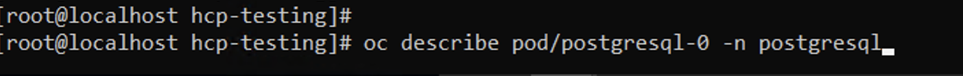 Command line showing input of describe pod command.