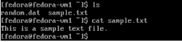 Command line results showing the creation of a text file.