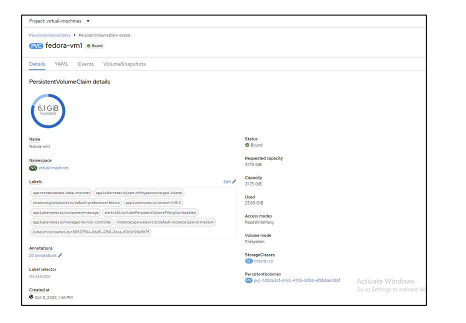 PVC details screen displaying ReadWriteMany under Access Modes field. 