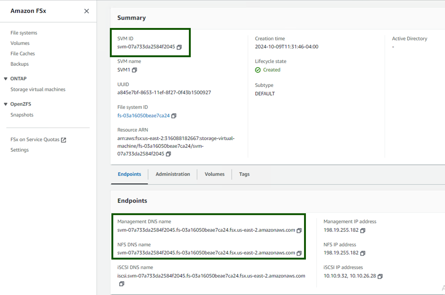 The summary screen on Amazon FSx console displaying the SVM ID, NFS DNS name and SVM name highlighted. 